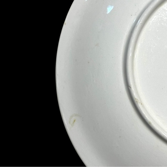 Set Of 3 Vintage Nasco Del Coronado Vegetable Motif  Salad Plates - Picture 15 of 16